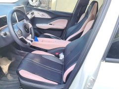 BYD Seagull Glory Edition 305km Freedom Version - ფოტო 14