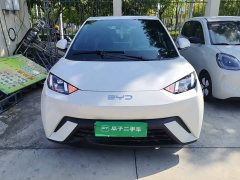 BYD Seagull Glory Edition 305km Freedom Version - ფოტო 2