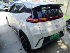 BYD Seagull Glory Edition 305km Freedom Version - ფოტო 4