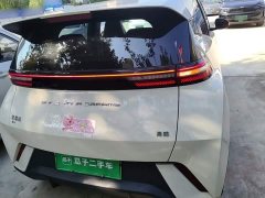BYD Seagull Glory Edition 305km Freedom Version - ფოტო 5