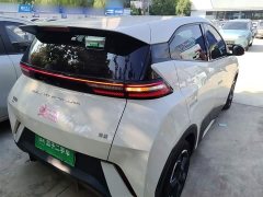 BYD Seagull Glory Edition 305km Freedom Version - ფოტო 6