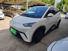 BYD Seagull Glory Edition 305km Vitality Version - ფოტო 1
