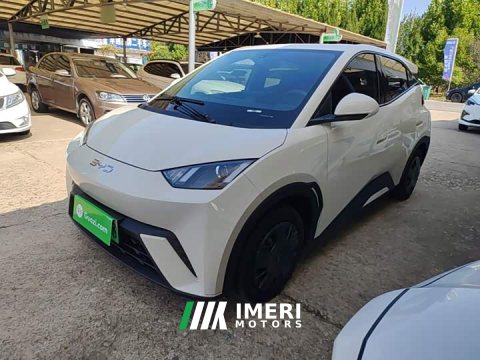 2024 BYD Seagull Glory Edition 305km Vitality Version - ავტომობილი ჩინეთიდან