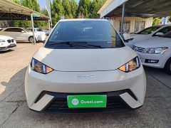 BYD Seagull Glory Edition 305km Vitality Version - ფოტო 2
