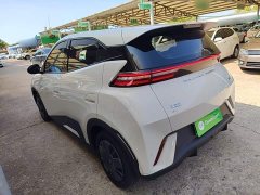 BYD Seagull Glory Edition 305km Vitality Version - ფოტო 4