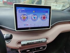 BYD Seagull Flying Edition - ფოტო 12