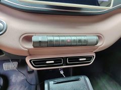 BYD Seagull Flying Edition - ფოტო 13