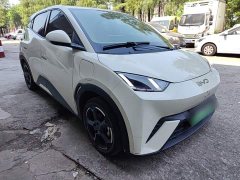 BYD Seagull Flying Edition - ფოტო 3