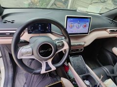 BYD Seagull Flying Edition - ფოტო 9