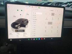 Tesla Model Y 2022 Facelift Rear-Wheel Drive - ფოტო 12
