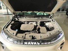 Haval Xiaolong MAX Hi4 165 Ultra Intelligent Driving Edition - ფოტო 19
