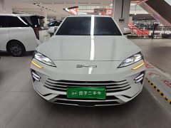 BYD Song Plus New Energy Champion Edition DM-i 110KM Flagship - ფოტო 2