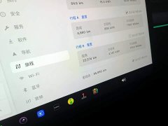 Tesla Model Y Rear-Wheel Drive - ფოტო 11
