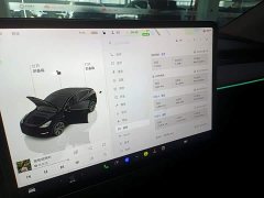 Tesla Model Y Rear-Wheel Drive - ფოტო 12