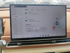ORA Good Cat 430km Deluxe Edition - ფოტო 17