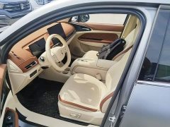 ORA Good Cat 430km Deluxe Edition - ფოტო 19