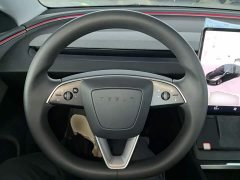 Tesla Model 3 Rear-Wheel Drive - ფოტო 10
