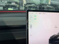Tesla Model 3 Rear-Wheel Drive - ფოტო 13