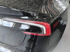 Tesla Model 3 Rear-Wheel Drive - ფოტო 7