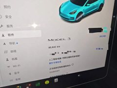 Tesla Model 3 Rear-Wheel Drive - ფოტო 11