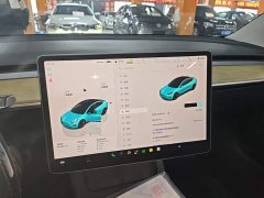 Tesla Model 3 Rear-Wheel Drive - ფოტო 12