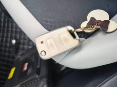 Volkswagen Polo Plus 1.5L Automatic Colorful Tech Edition - ფოტო 8