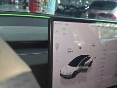 Tesla Model 3 Rear-Wheel Drive - ფოტო 13