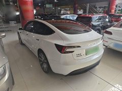 Tesla Model 3 Rear-Wheel Drive - ფოტო 4