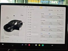 Tesla Model Y 2022 Facelift Long Range All-Wheel Drive - ფოტო 12