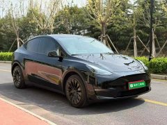 Tesla Model Y 2022 Facelift Long Range All-Wheel Drive - ფოტო 3
