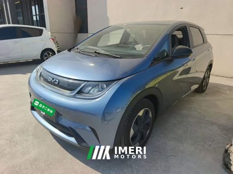 2026 BYD Dolphin 2025 420km Freedom Edition - ავტომობილი ჩინეთიდან
