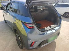 BYD Dolphin 2025 420km Freedom Edition - ფოტო 4