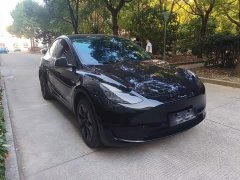 Tesla Model Y Rear-Wheel Drive - ფოტო 3