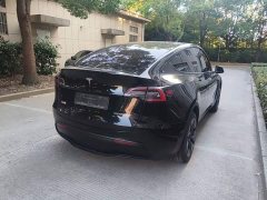 Tesla Model Y Rear-Wheel Drive - ფოტო 6