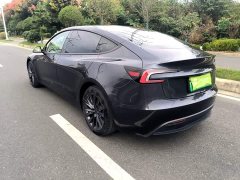 Tesla Model 3 Rear-Wheel Drive - ფოტო 4