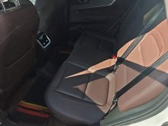 Chery Tiggo 7 Excellence 1.5T CVT Luxury - ფოტო 16