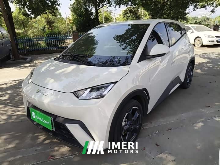 BYD Seagull Glory Edition 305km Freedom Version - ავტომობილი ჩინეთიდან