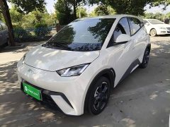 BYD Seagull Glory Edition 305km Freedom Version - ფოტო 1