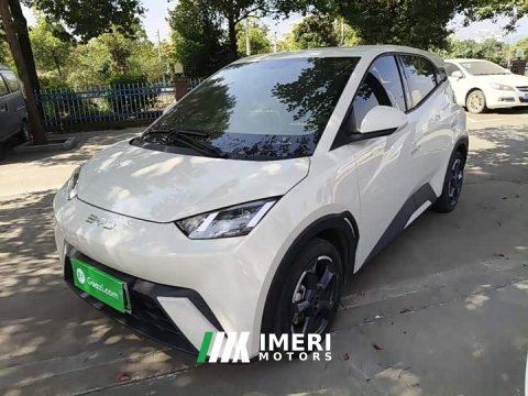 2024 BYD Seagull Glory Edition 305km Freedom Version - ავტომობილი ჩინეთიდან
