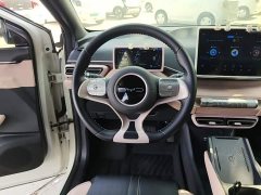BYD Seagull Glory Edition 305km Freedom Version - ფოტო 10