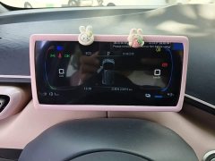 BYD Seagull Glory Edition 305km Freedom Version - ფოტო 11