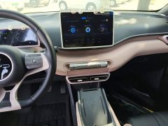 BYD Seagull Glory Edition 305km Freedom Version - ფოტო 12
