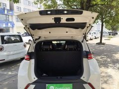 BYD Seagull Glory Edition 305km Freedom Version - ფოტო 18