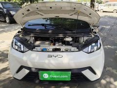 BYD Seagull Glory Edition 305km Freedom Version - ფოტო 19