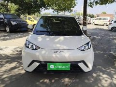 BYD Seagull Glory Edition 305km Freedom Version - ფოტო 2