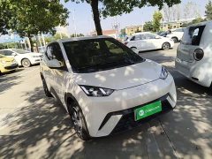BYD Seagull Glory Edition 305km Freedom Version - ფოტო 3