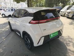 BYD Seagull Glory Edition 305km Freedom Version - ფოტო 4