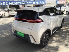 BYD Seagull Glory Edition 305km Freedom Version - ფოტო 6