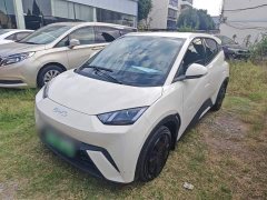 BYD Seagull Glory Edition 305km Vitality Version - ფოტო 1