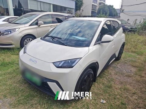 2024 BYD Seagull Glory Edition 305km Vitality Version - ავტომობილი ჩინეთიდან
